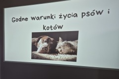 inbound7707678536986509422